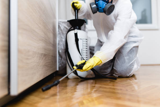 Best Exterminator Services  in New City, NY