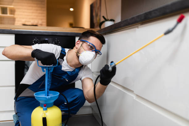 Best Pest Inspection Near Me  in New City, NY