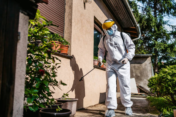 Best Pest Control Near Me in New City, NY
