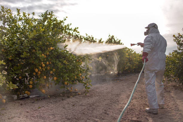 Best Residential Pest Control  in New City, NY