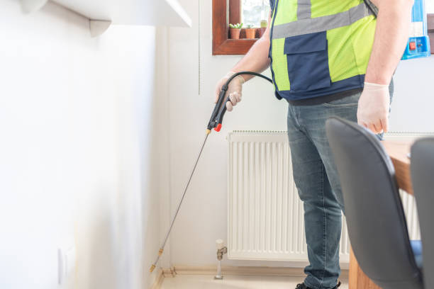 Best Pest Control Treatment  in New City, NY