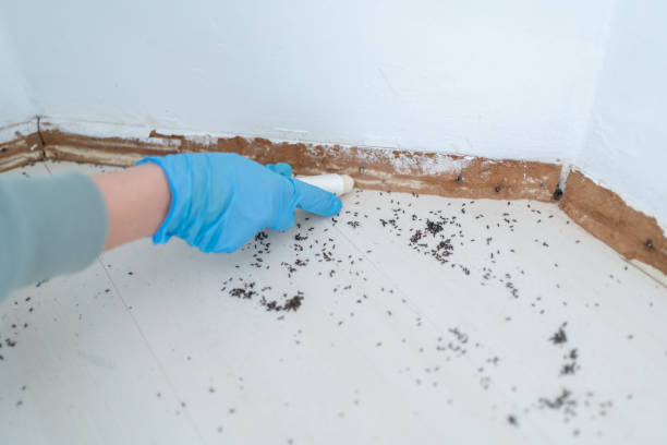 Best Pest Control Cost  in New City, NY